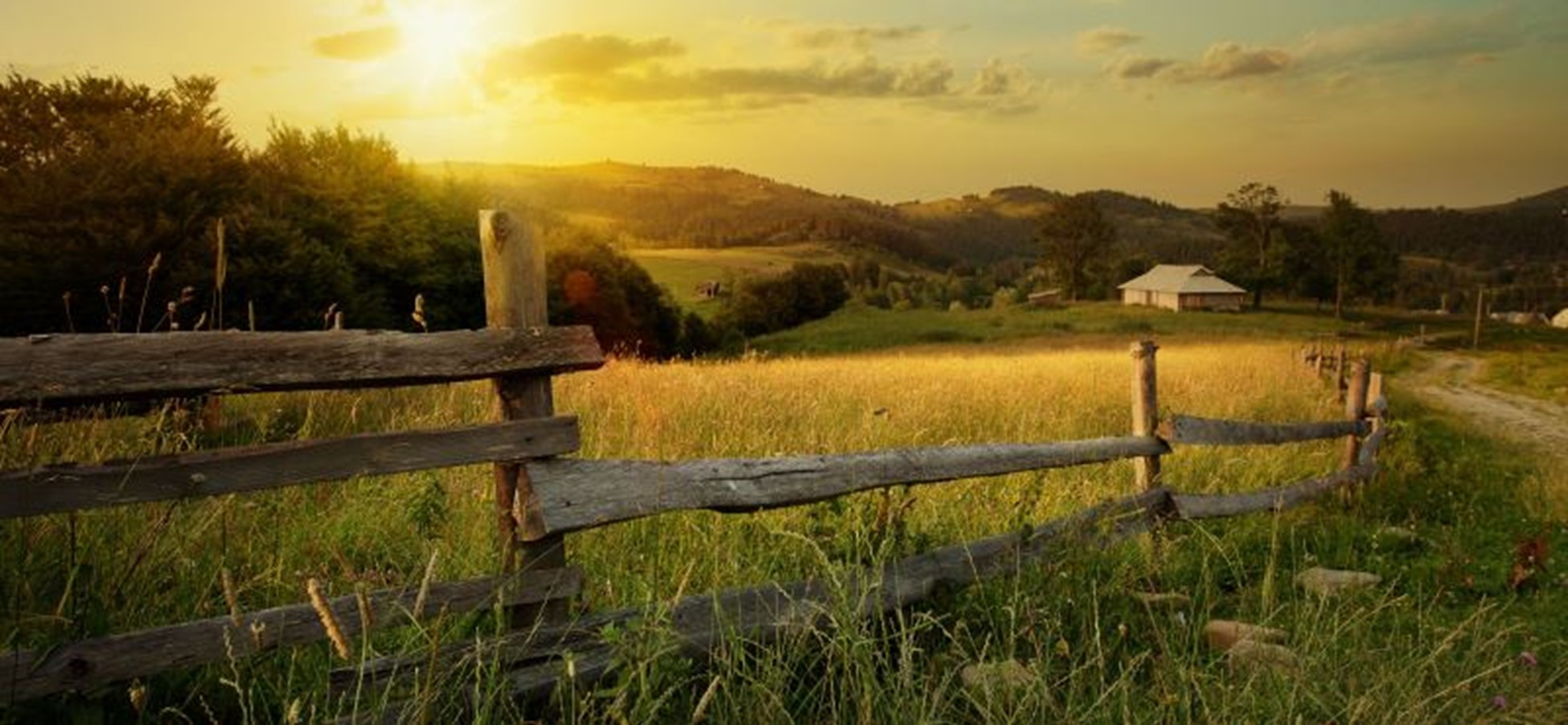 What’s The Point Of Title Insurance On A New Build? img