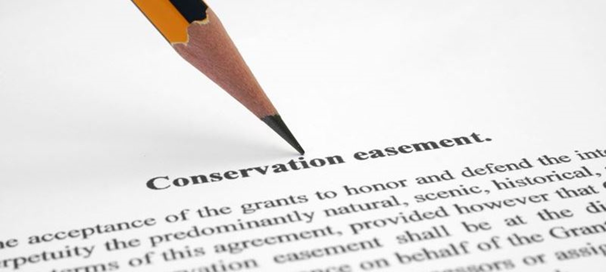 Plats 101: Monuments & Easements img