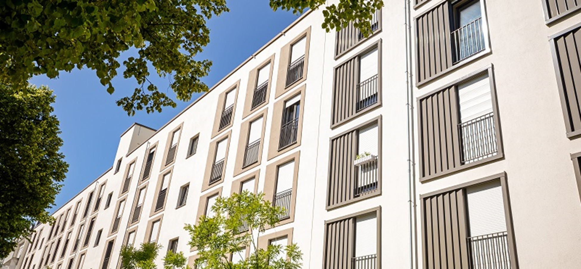 3 Things to Remember at the Intersection of Trusts & Title Insurance img