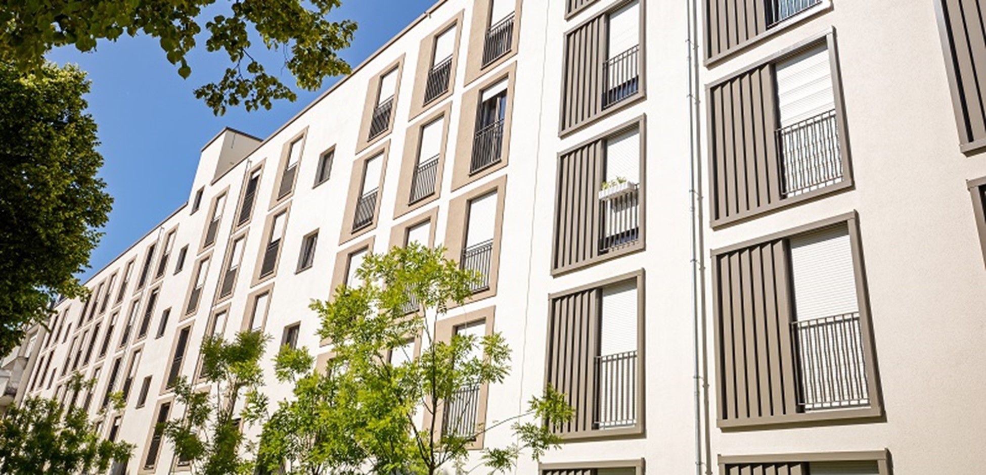 Tips for Understanding Title Insurance img