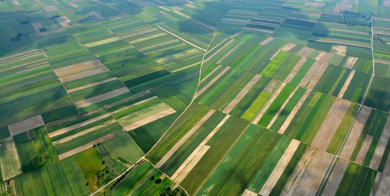 The Importance of Reviewing Land Trusts Before Recording Title Insurance img