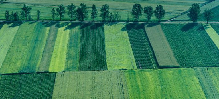 How a Plat is Created img