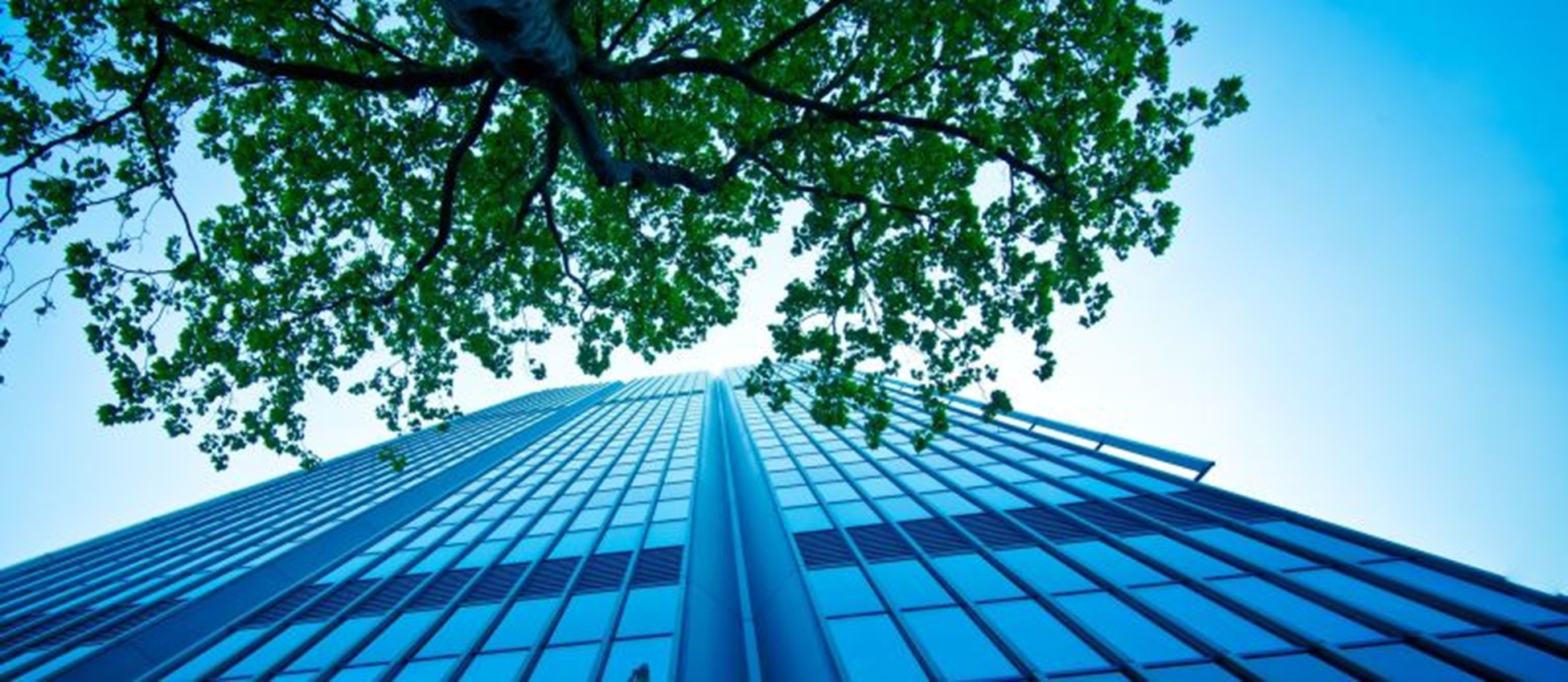 3 Things that Commercial Title Insurance Does Not Cover teaser